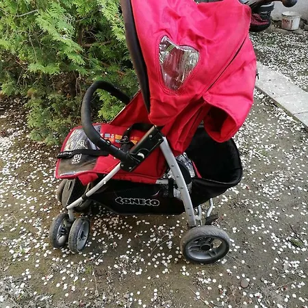 Red Daire *